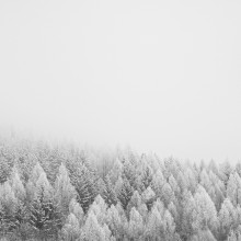 Clima